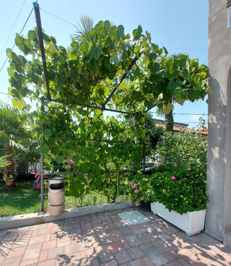Apartman Palma Marinici  外观 照片